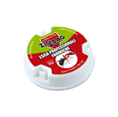 Zig Zag Insecticide Bait for Ants