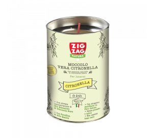 Zig Zag Citronella - Indoor candle